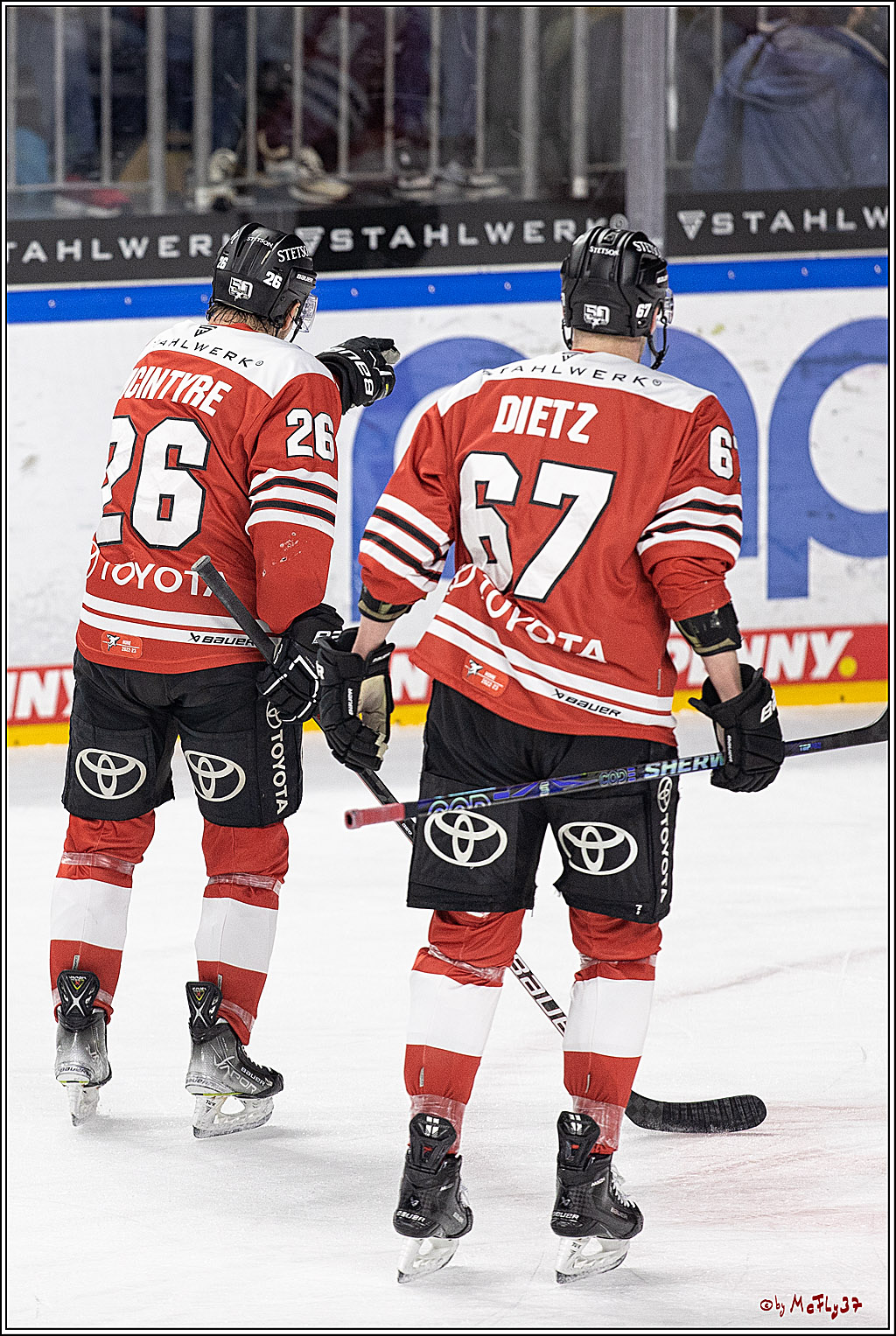 PENNY DEL;  Koelner Haie - Straubing Tigers; Koeln, 28.12.2022